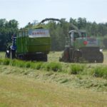 DSCN7684 150x150 Zielone żniwa  2019   w polu maszyny Claas, Case, Massey Ferguson, New Holland   FOTO