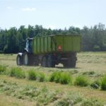DSCN7685 150x150 Zielone żniwa  2019   w polu maszyny Claas, Case, Massey Ferguson, New Holland   FOTO