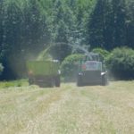 DSCN7686 150x150 Zielone żniwa  2019   w polu maszyny Claas, Case, Massey Ferguson, New Holland   FOTO