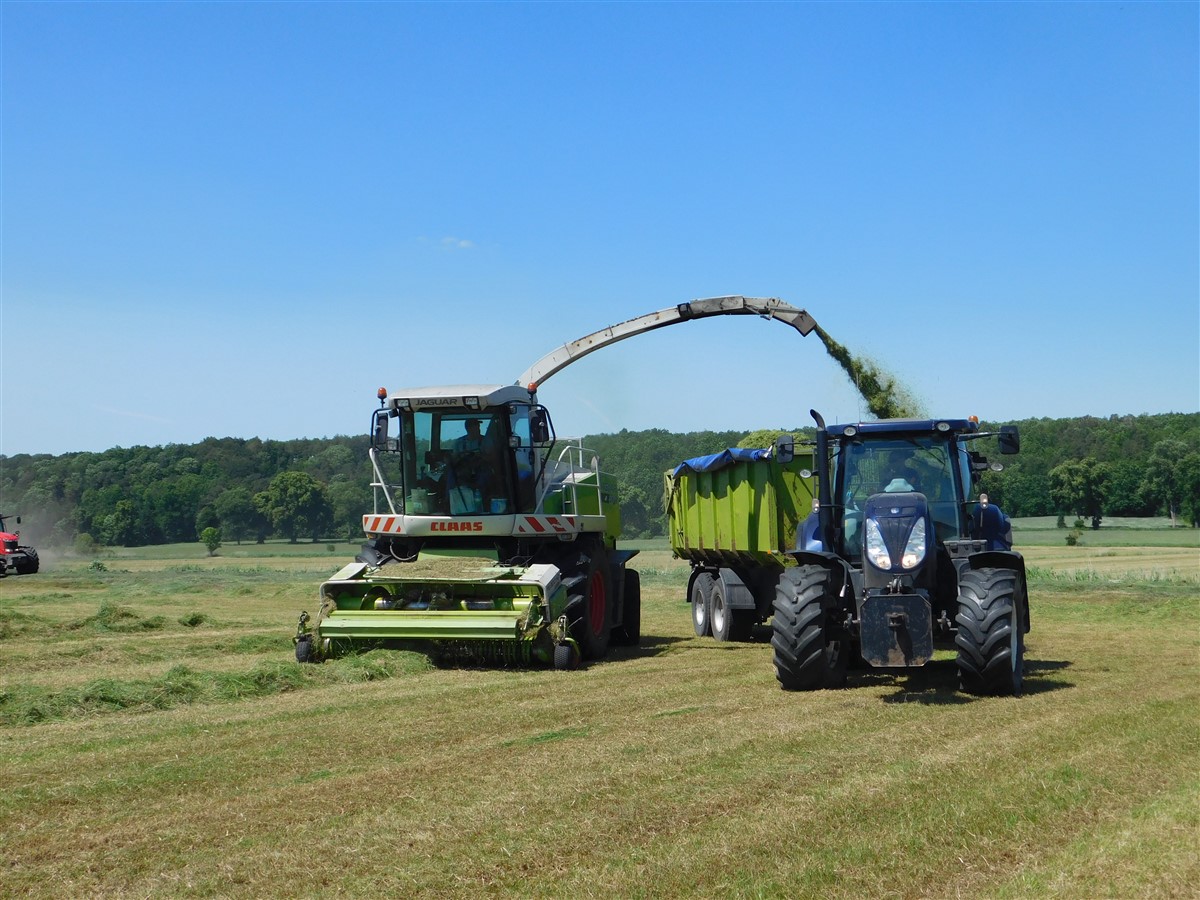 DSCN7698 Zielone żniwa 2019 – w polu maszyny Claas, Case, Massey Ferguson, New Holland   VIDEO