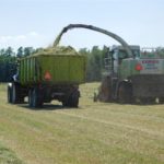 DSCN7700 150x150 Zielone żniwa  2019   w polu maszyny Claas, Case, Massey Ferguson, New Holland   FOTO