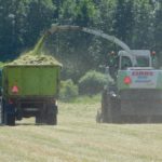 DSCN7704 150x150 Zielone żniwa  2019   w polu maszyny Claas, Case, Massey Ferguson, New Holland   FOTO