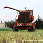 IS DSCF7018 1 150x150 Polska sieczkarnia samojezdna ORKAN Z350/3 ? zielonkowy unikat ? FOTO
