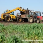 IS DSCF7018 150x150 Cztery Ursusy C 360 i obornik w Kom Rolu ? ponadczasowy widok   FOTO