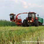 IS DSCF7021 150x150 Polska sieczkarnia samojezdna ORKAN Z350/3 ? zielonkowy unikat ? FOTO