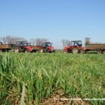IS DSCF7025 150x150 Cztery Ursusy C 360 i obornik w Kom Rolu ? ponadczasowy widok   FOTO