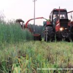 IS DSCF7039 150x150 Polska sieczkarnia samojezdna ORKAN Z350/3 ? zielonkowy unikat ? FOTO