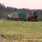 IS DSCF7042 150x150 Polska sieczkarnia samojezdna ORKAN Z350/3 ? zielonkowy unikat ? FOTO