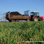 IS DSCF7054 150x150 Cztery Ursusy C 360 i obornik w Kom Rolu ? ponadczasowy widok   FOTO
