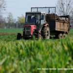 IS DSCF7081 150x150 Cztery Ursusy C 360 i obornik w Kom Rolu ? ponadczasowy widok   FOTO