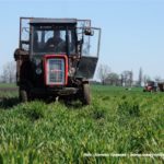 IS DSCF7088 150x150 Cztery Ursusy C 360 i obornik w Kom Rolu ? ponadczasowy widok   FOTO
