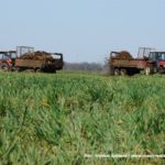 IS DSCF7095 150x150 Cztery Ursusy C 360 i obornik w Kom Rolu ? ponadczasowy widok   FOTO