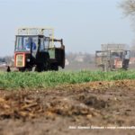 IS DSCF7107 150x150 Cztery Ursusy C 360 i obornik w Kom Rolu ? ponadczasowy widok   FOTO