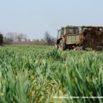 IS DSCF7111 150x150 Cztery Ursusy C 360 i obornik w Kom Rolu ? ponadczasowy widok   FOTO