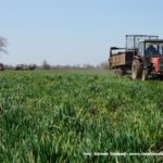 IS DSCF7150 150x150 Cztery Ursusy C 360 i obornik w Kom Rolu ? ponadczasowy widok   FOTO