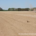 IS DSCF7173 150x150 John Deere 6195M i 8230 + Farmet Kompaktomat w pustynnej uprawie 2019 ? FOTO