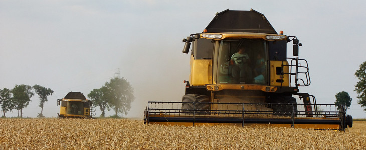 New Holland CX zniwa 2019  film Słaby rok dla kukurydzy   NEW HOLLAND TC5.80 na polach Blue Team   VIDEO