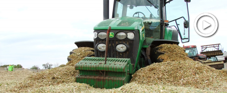 Claas Jaguar John Deere New Holland kukurydza 2019  film Kukurydza na Krajnie 2019 ? jeździmy z Olą i operatorami z zielonego teamu ? WIDEO