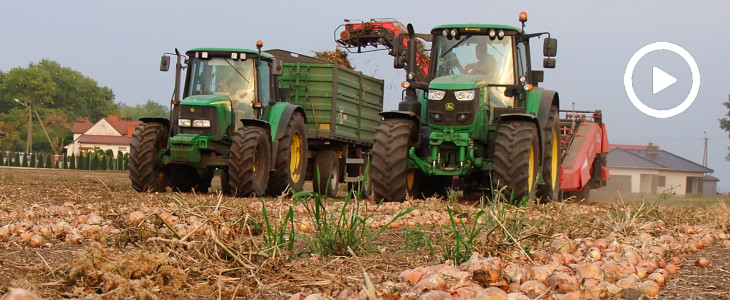 John Deere Amac zbior cebuli 2019  film Belgijska bestia Dewulf RA 3060 w zbiorze cebuli na Kujawach   VIDEO