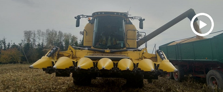 New Holland TC kukurydza 2019  film Żniwa 2019   Duet New Holland CX 8090 w pszenicy (VIDEO)