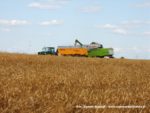 IS DSCF7003 1 150x113 Żniwa 2019 z kombajnami CLAAS w obiektywie Szymona Śpiewaka