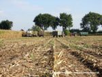 IS DSCF7004 3 150x113 Ursusy i Jaguar vs. 1000 ha kukurydzy w Kom Rolu – FOTO