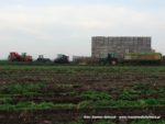 IS DSCF7005 2 150x113 Kombajn Dewulf i 4x John Deere w marchewce   FOTO
