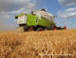 IS DSCF7008 1 150x113 Żniwa 2019 z kombajnami CLAAS w obiektywie Szymona Śpiewaka