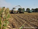 IS DSCF7009 2 150x113 Ursusy i Jaguar vs. 1000 ha kukurydzy w Kom Rolu – FOTO