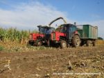 IS DSCF7010 2 150x113 Ursusy i Jaguar vs. 1000 ha kukurydzy w Kom Rolu – FOTO