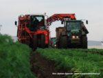 IS DSCF7010 3 1 150x113 Kombajn Dewulf i 4x John Deere w marchewce   FOTO