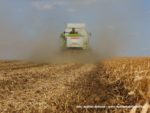 IS DSCF7015 150x113 Żniwa 2019 z kombajnami CLAAS w obiektywie Szymona Śpiewaka