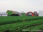 IS DSCF7019 3 150x113 Kombajn Dewulf i 4x John Deere w marchewce   FOTO