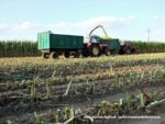 IS DSCF7020 2 150x113 Ursusy i Jaguar vs. 1000 ha kukurydzy w Kom Rolu – FOTO