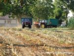 IS DSCF7022 1 150x113 Ursusy i Jaguar vs. 1000 ha kukurydzy w Kom Rolu – FOTO