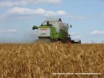 IS DSCF7024 150x113 Żniwa 2019 z kombajnami CLAAS w obiektywie Szymona Śpiewaka