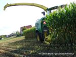 IS DSCF7026 2 150x113 Pokaz polowy sieczkarni John Deere 8300   FOTO
