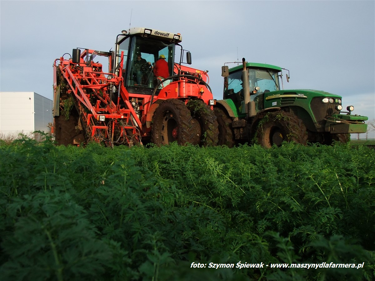 IS DSCF7026 4 Uprawa i siew rzepaku ciągnikami John Deere – FOTO