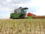 IS DSCF7028 150x113 Żniwa 2019 z kombajnami CLAAS w obiektywie Szymona Śpiewaka