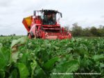 IS DSCF7030 2 150x113 Grimme Maxtron 620 i John Deere 7820, 8430 w burakach   FOTO