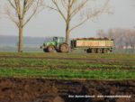 IS DSCF7033 4 150x113 Kombajn Dewulf i 4x John Deere w marchewce   FOTO