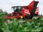 IS DSCF7034 1 150x113 Grimme Maxtron 620 i John Deere 7820, 8430 w burakach   FOTO