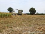 IS DSCF7034 150x113 Ursusy i Jaguar vs. 1000 ha kukurydzy w Kom Rolu – FOTO