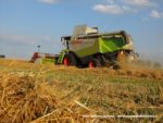 IS DSCF7035 150x113 Żniwa 2019 z kombajnami CLAAS w obiektywie Szymona Śpiewaka