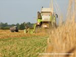 IS DSCF7037 1 150x113 Żniwa 2019 z kombajnami CLAAS w obiektywie Szymona Śpiewaka