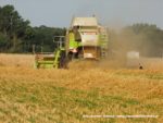 IS DSCF7038 1 150x113 Żniwa 2019 z kombajnami CLAAS w obiektywie Szymona Śpiewaka