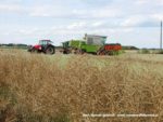 IS DSCF7038 150x113 Żniwa 2019 z kombajnami CLAAS w obiektywie Szymona Śpiewaka