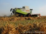 IS DSCF7043 150x113 Żniwa 2019 z kombajnami CLAAS w obiektywie Szymona Śpiewaka