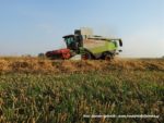 IS DSCF7044 150x113 Żniwa 2019 z kombajnami CLAAS w obiektywie Szymona Śpiewaka