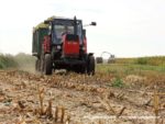 IS DSCF7044 3 150x113 Ursusy i Jaguar vs. 1000 ha kukurydzy w Kom Rolu – FOTO